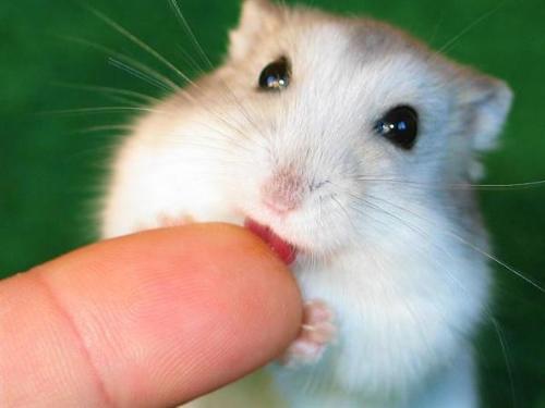 can u help me?? - Mister, can you help me? Please show me the place i can go ..
