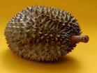Durian - The durian is famous for its strong smell