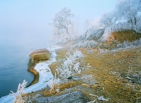 a beautiful view - fog can be so beautiful