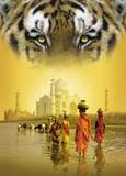 India - India is a country where you find people of different culture. India is a country with unity in diversity. It has many historic places and many histories were written on Indian country. At present India is a developing country and it is said that in few more years, India will be in equal to the US.