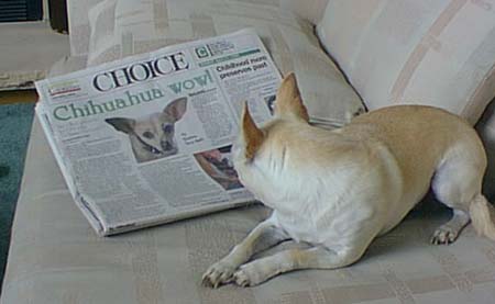 Even Dogs.. - need to stay informed!