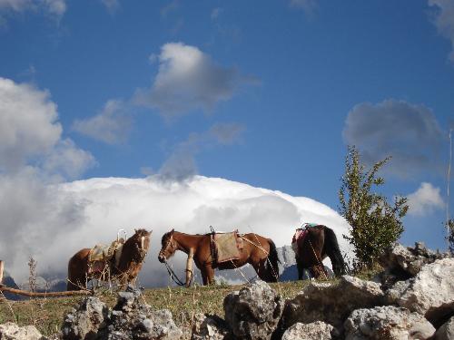 YuLong jukol - blue sky, white cloud, handsome horses... Just like walk in the fairland:)