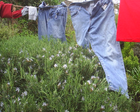 Hang drying. - Living frugally by saving electricity.