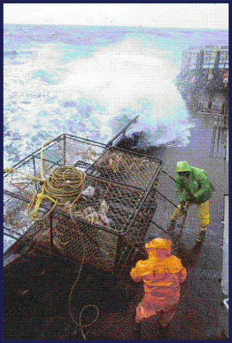 Deadliest Catch - A neat pic from the show