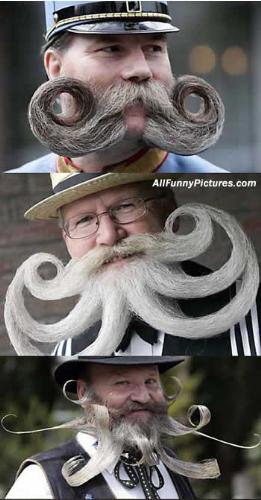 mustaches - cleaning these things must be a chore