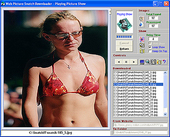 Net page - Blogging page on net.