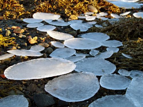 Ice UFOs - Found lots ice ufo's on the coast