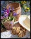 Gardening - Picture of different gardening tools.