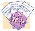 Cervical Cancer - Picture of some cervical cancer brochures.