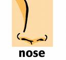 Nose - Allergy