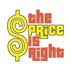 TPIR logo - TPIR logo flat style