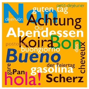 Language - Are you fluent in several languages?