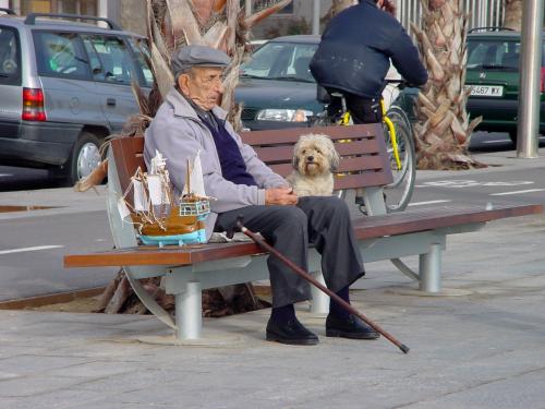 Old man - Old man sitting with dog