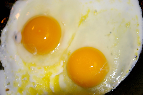 nature and egg - smile