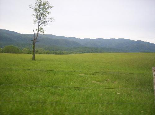 smokies - Good place to see in ur life atleast once.