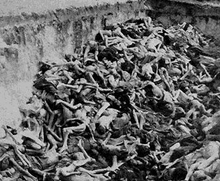 auschwitz - a large number of dead bodies
