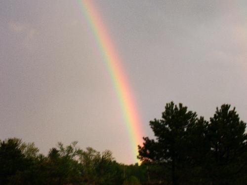 Rainbow - Rainbow. A nasty nasty storm came through a couple weeks ago and in a little break gave us this beautiful rainbow.