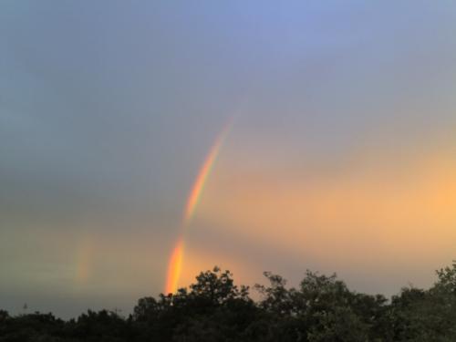 2 Rainbows - I taken this pic HCU(Hyderabad Central University), Hyderabad. u can see 2 rainbows side by side.  thank you, kiraN