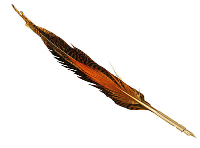 Quill pen  - For you write a good book you need a good pen...