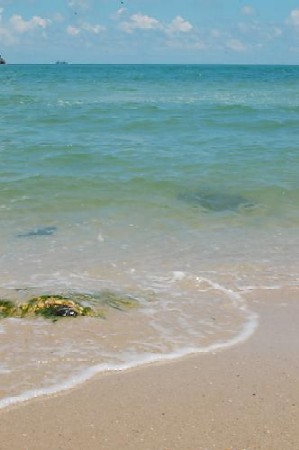 Beach - A beautiful beach.