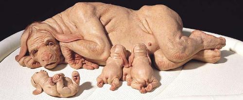 The Family - This is a disturbing sculpture by Australia&#039;s own Patricia Piccinini.