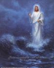 beloved - almighty