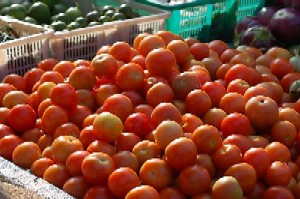 Tomatoes - Nutritious tomatoes.
