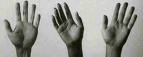 hands - Do you always wash your hands before eating?