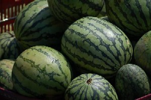 Watermelon - Fruit called pakwan in the Philippines.