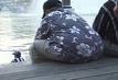 obesity in kids - Obese kids a problem in our world