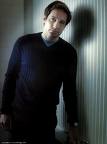 david duchovny - 18