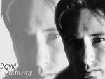david duchovny - 15