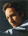david duchovny - 16