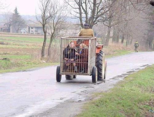 transport - man of the year