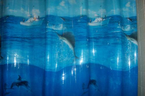 How Relaxing...? - Fishing, water, fish... bathroom? Yes, this is my shower curtain, how relaxing is this to look at while taking a shower?