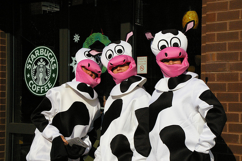 starbucks cows - these cows are promoting informations that starbucks uses milk produced by cows injected by chemical RBGH.