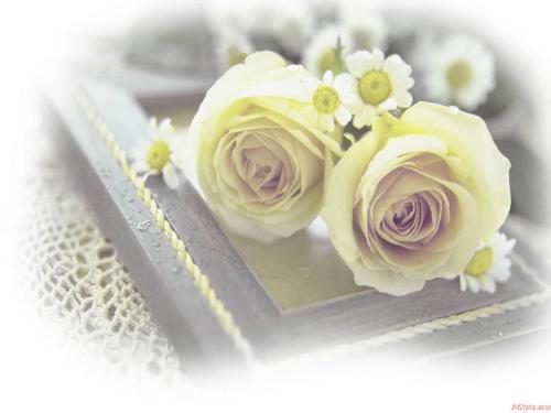 flower - come from my file