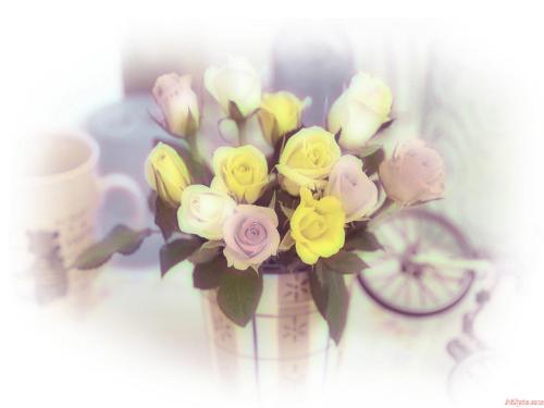 flower - come from my file