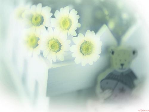 flower - come from my file
