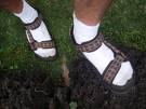 Socks with sandals - wearing socks with sandals is gross
