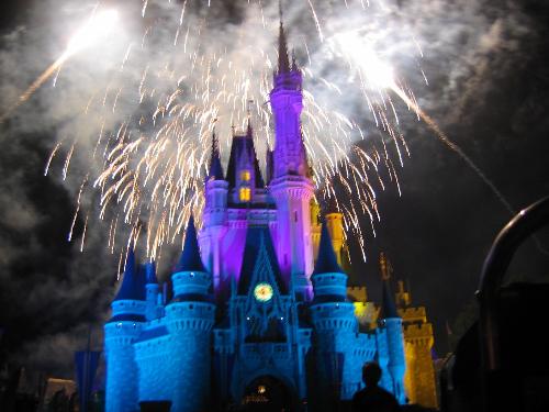 The Castle at night - The Disney catle at night.