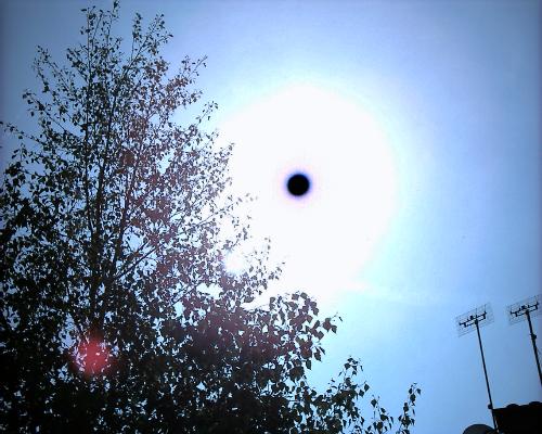 a ufo - My son snapped an unidentifeid flying object. He isn't sure if it was a ufo or he sun or a smudge, but this is what we found when we processed the film.