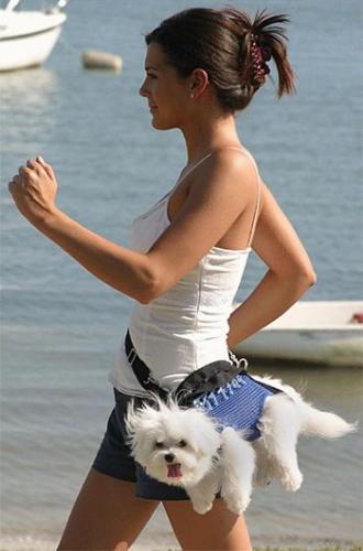 Puppy Purse - Yeah!...nice way to carry your puppy around!...