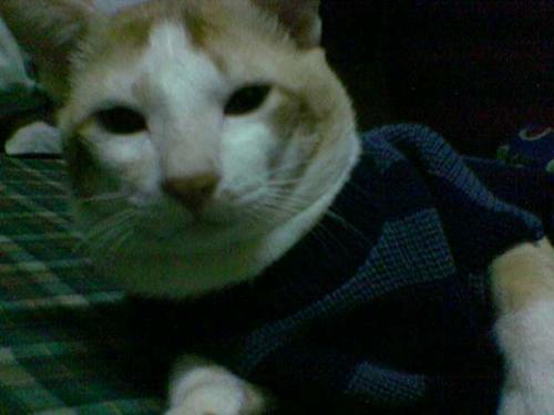 my baby, raisho - this is my 3-year old son, raisho.