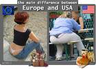 Funny Picture! -   Just a funny pic to share with you.