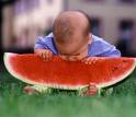 Funny Picture! -   Just a funny pic to share with you.