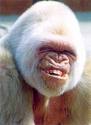 Funny Picture! -   Just a funny pic to share with you.