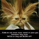 Funny Picture! -   Just a funny pic to share with you.