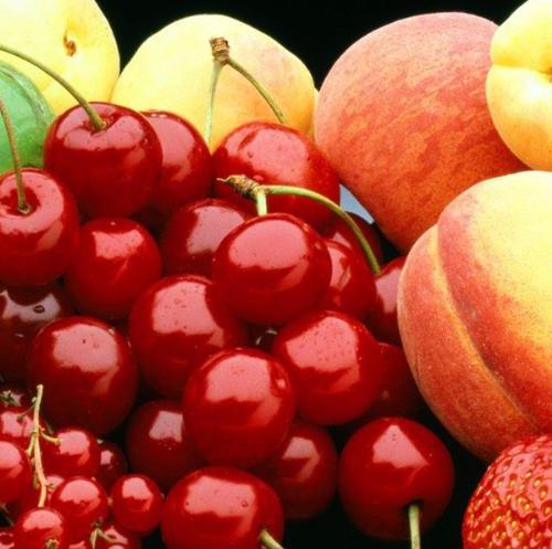 mixed fruits - mixed fruits plate