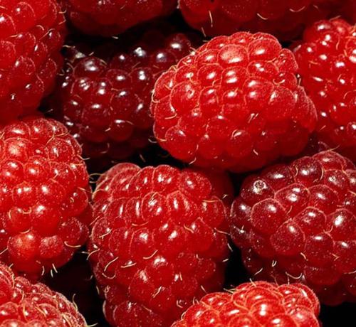 raspberries - fresh raspberries